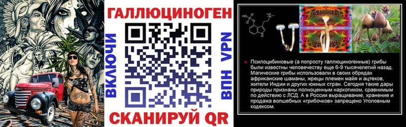 Псилоцибиновые грибы Psilocybe  Янаул 